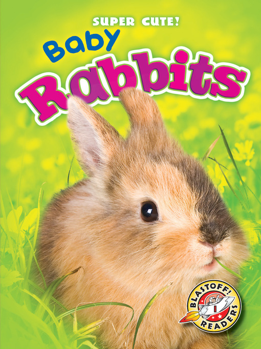 Cover image for Baby Rabbits